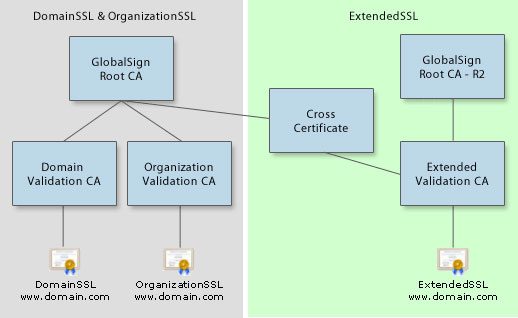 Ssl Root Certificate prntbl concejomunicipaldechinu gov co