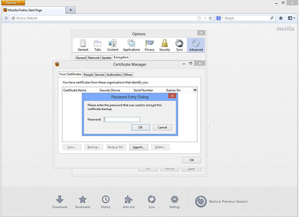 Firefox Password Entry