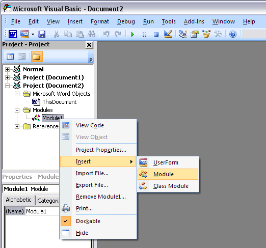 Insert Module in Microsoft Word Objects Folder