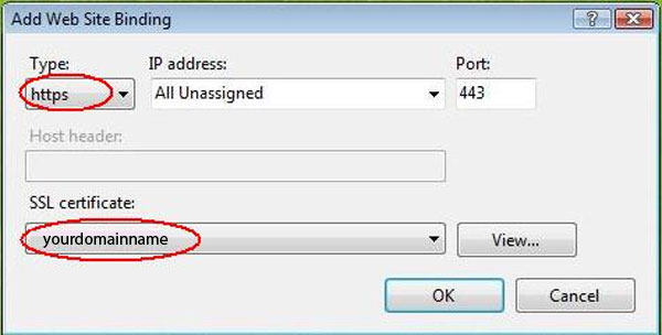 IIS 7 Web Binding Properties