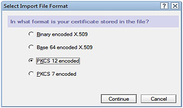 Select Import File Format