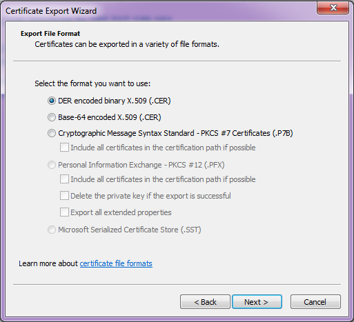 Export File Format Selection