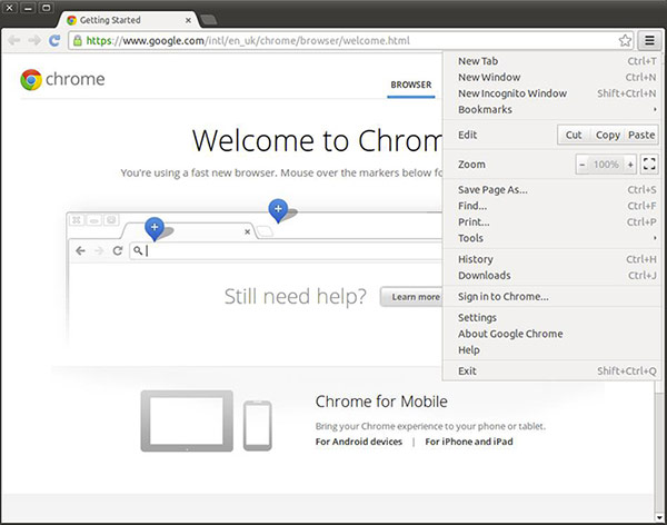 screen-linux-ubuntu-chrome-01.jpg